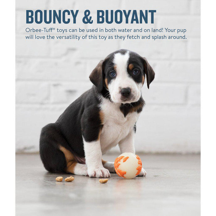Outward Hound Planet Dog Orbeeball Vit/Orange