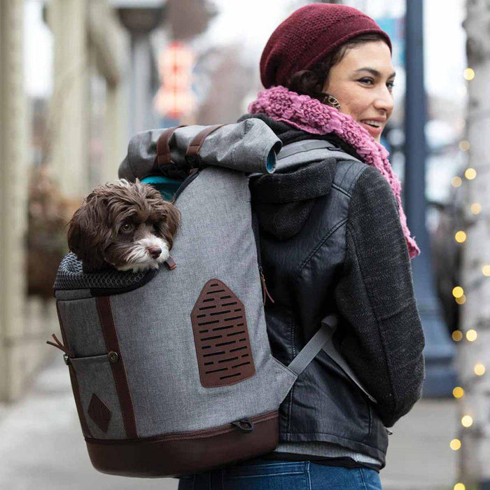 Kurgo K9 Rucksack Heather Grey